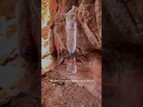 قالوا يا رسول الل ه وإن لنا في البهائم أجرا فقال في كل كب د رطبة أجر