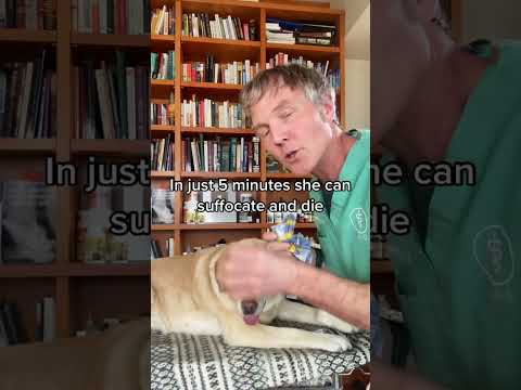 Plastic Bag Suffocation