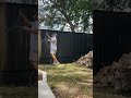 Only way to paint a timber fence, spray! #spraypaint #fence #exteriorpainters #gracopaintsprayers