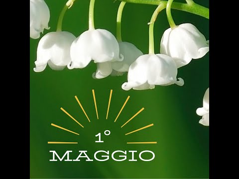 Video: Maggio Mughetto