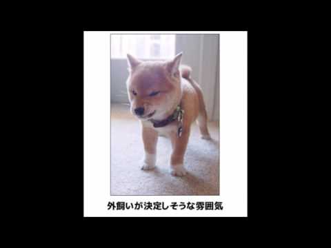ボケて 最新殿堂入り Bokete 腹筋崩壊の面白画像 傑作集 2chで話題のまとめ 4 Youtube ボケて 最新殿堂入り Bokete 腹筋崩壊の面白画像 傑作集 2chで話題のまとめ 4 Youtube