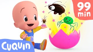 Surprise eggs: learn colors and insects with Cuquin! | videos & cartoons for babies