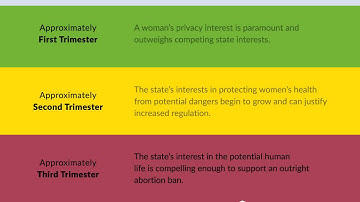 Roe v. Wade Case Brief Summary | Law Case Explained