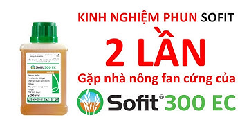 Kinh nghiệm sử dụng Sofit 20 năm và quản lý lúa cỏ = phun 2 lần | Syngenta | LTG | thuốc trừ bệnh