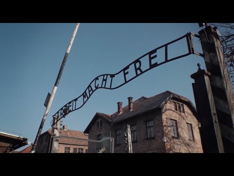 Фабрика смерти: что пришлось пережить узникам лагеря Освенцим