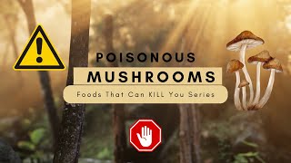 10 Mushrooms You Should Never Eat 🍄  Foods That Can KILL You Series