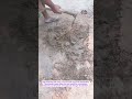 Manual Digging Skills in Action – Hard Work Real Life!