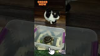 Housecarers Worldwide House Sitters And Pet Sitters Directory. Cameron House