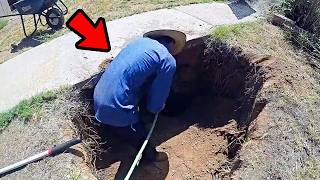 Man Kept Hearing Strange Noises Under Driveway, Look What He Found Inside