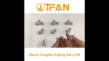IFAN PEX Fitting Coupling