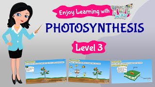 Photosynthesis For Kids | Science | Grade 3 & 4 | Tutway