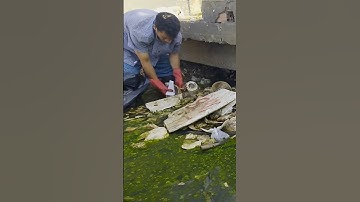 Try to Remove Unclog Big Drain #cleaning #plastic #shorts #real #unclog