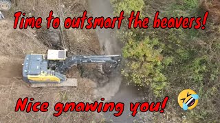 Best damn beaver dam removal video on the internet I promise! Can we out smart the beavers??