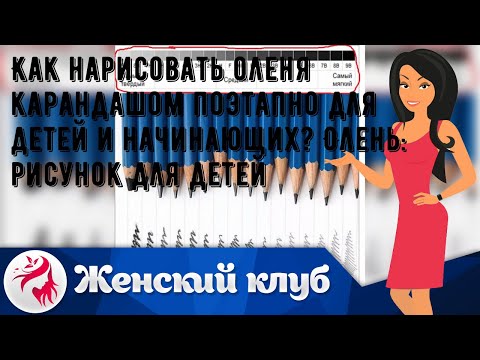 Как нарисовать оленя карандашом поэтапно для детей и начинающих? Олень: рисунок для детей