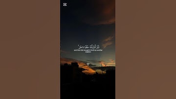 ولقد خلقنا الإنسان من سلالة من طين | القارئ ياسر الدوسري #قران #راحة_نفسية #اكسبلور_فولو