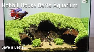 Hobbit House Betta Aquarium & Carpet Plant - Save a Betta