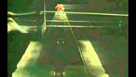 Inertia - performance installation by ella joseph (2001)