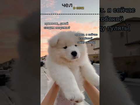 да, мы такие😉 #кинолог #люблюсобак #собаки #кинология #люблю #любовьксобаке