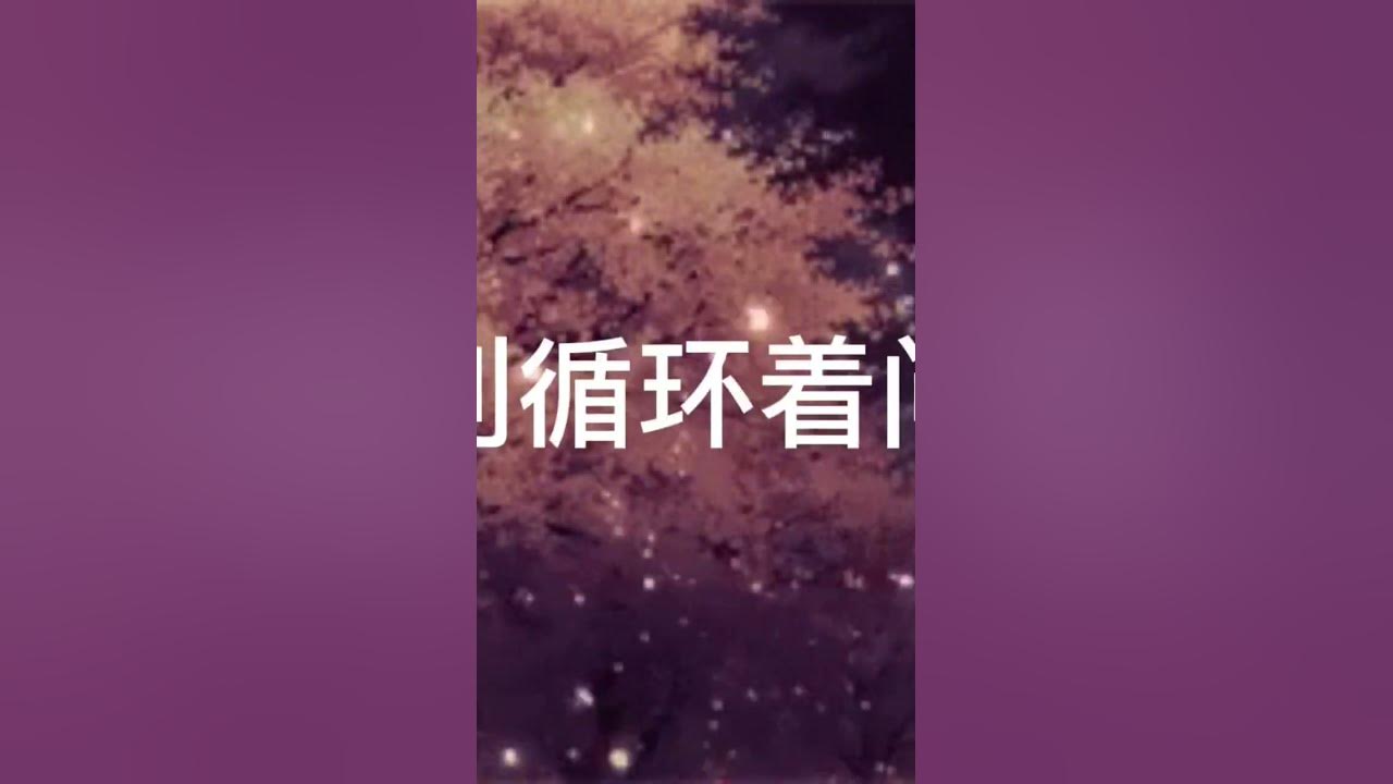 单依纯-余味