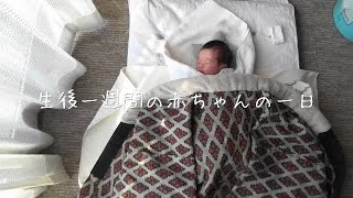 【新生児】生後1週間の赤ちゃんの一日　男の子ベビー