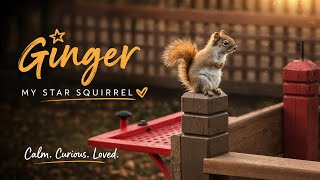 She Survived Winter and Sheโs Back on Her Throne | Ginger Episode 2๐ฟ๏ธ๐