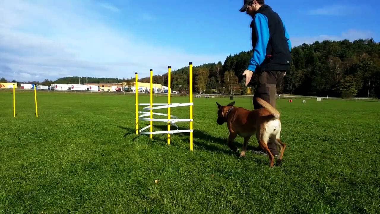 agility basics