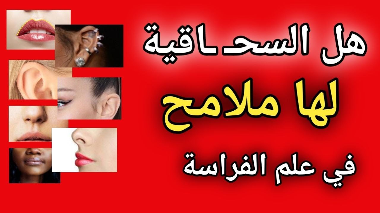 سبب تكوين شخصية  سحاقــــ ـــيـة علم الفراسة