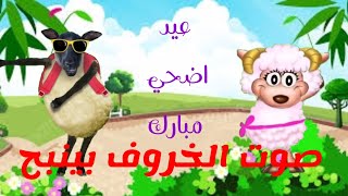 صوت الخروف بينبح ماء ماء ماء/اغنيه عيد الاضحي