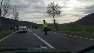 VIDEO - Urs în agonie de aproape o zi pe un drum - Animalul a fost lovit de o mașină 3 video