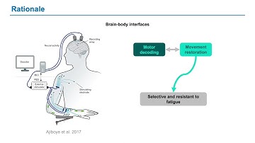 2nd Place Winner - BCI Award 2022 - An implantable brain body interface to restore hand functions