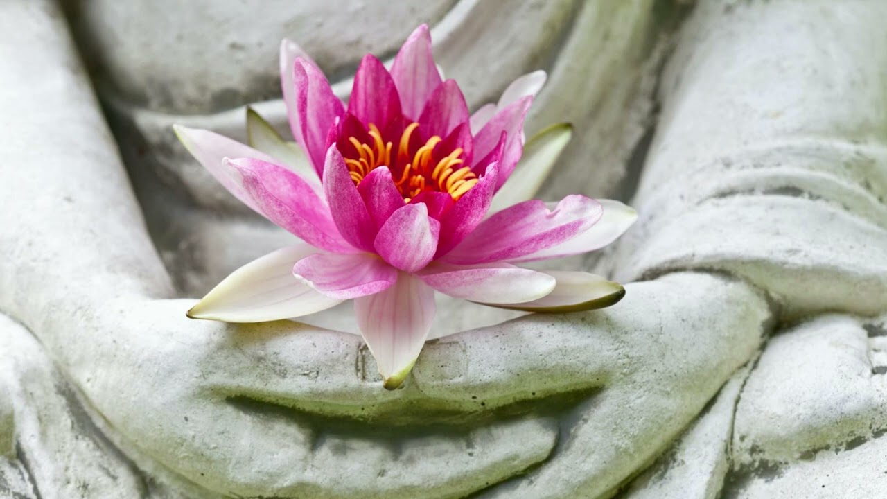 Guided Mahamudra Meditation (audio only)