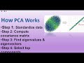 Dimensionality Reduction & PCA Explained | Principal Component Analysis Made Easy