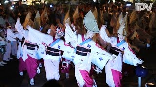 阿波踊り2016 知る人ぞ知る「裏天水」