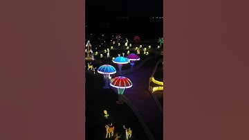 Glow garden in statue of unity  #narmada #gujrat #india #nature #trending #sardarpatel #music #night