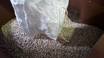 Pistachio open closed