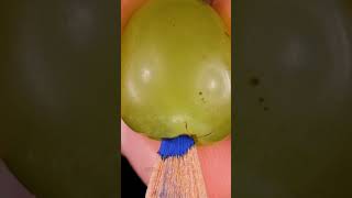 Grape And Pencil