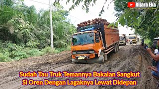 Sudah Tau Truk Temannya Bakalan Sangkut, Si Oren Datang Lagak Muatan Tinggi Lewat Di Depan