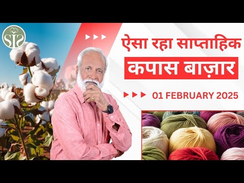 कपास बाज़ार की साप्ताहिक रिपोर्ट 😱 || Aaj ka kapas bazar || Weekly Cotton Market Update #smartinfo