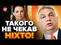 😮В Угорщині СКАНДАЛ! Про це говорять усі / Чому президентка РАПТОВО йде у відставку?