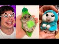 Los HAMSTERS más GRACIOSOS del MUNDO!! (Intenta NO reír animales divertidos de TikTok)