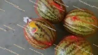 Horizontal net clipping machine