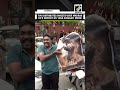 TVK’s Legal Wing Advocates distribute sweets over Madras HC’s verdict on Vijay ‘Jana Nayagan’ movie