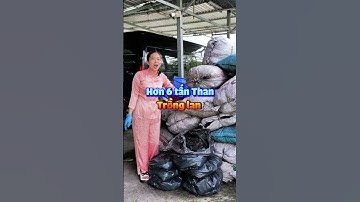 #shorts Hơn 6 tấn than trồng hoa lan sao hết đây bà con.   [083.449.1000 - 0333.49.1000]