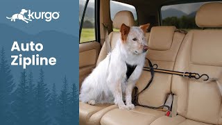Auto Zip Line | Keep your pup in the backseat