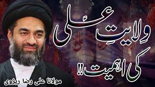 Wilayat E Ali (a.s.) Ki Ahmiyat - Maulana Ali Raza Rizvi