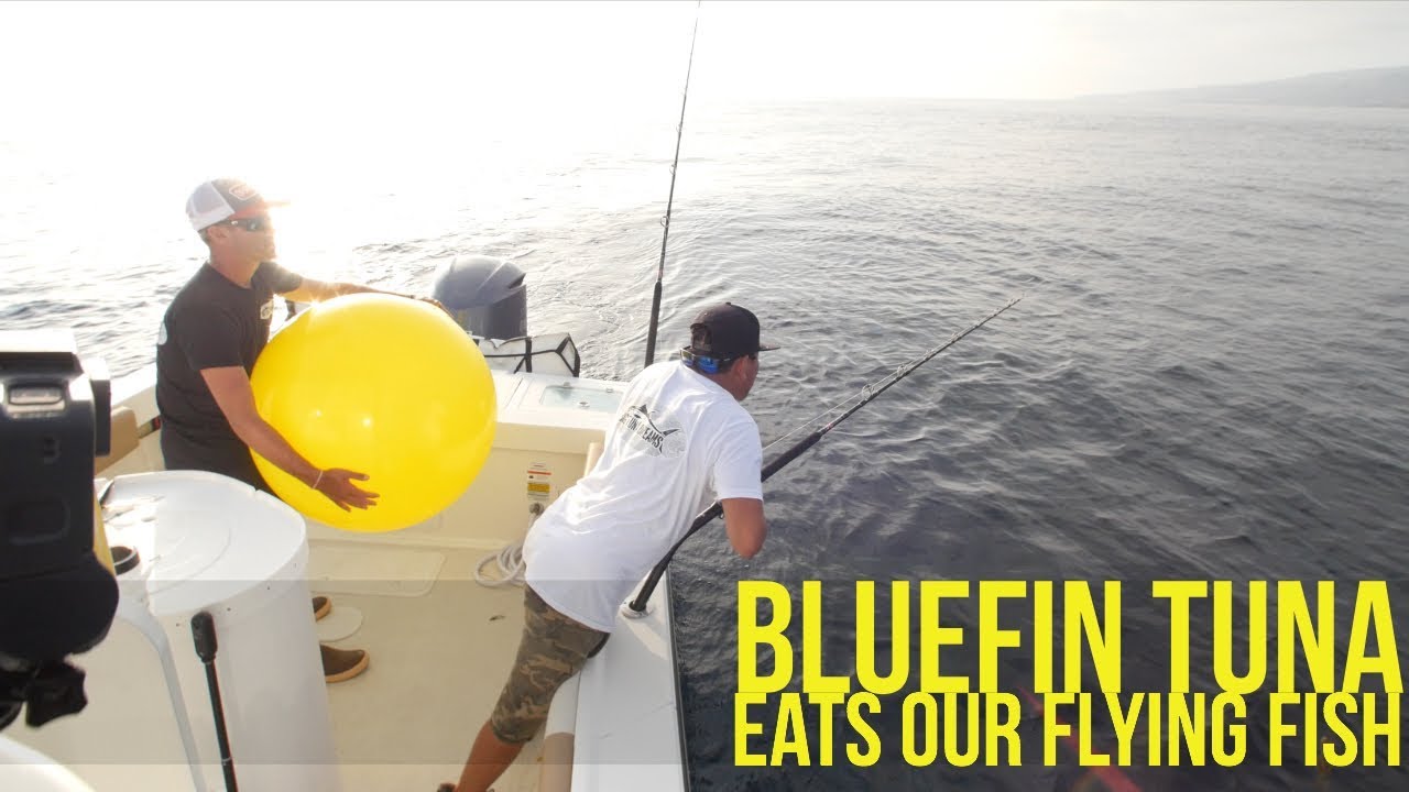 Big Tuna Dreams Season 1 Episode 11 Fishing for Bluefin Tuna with