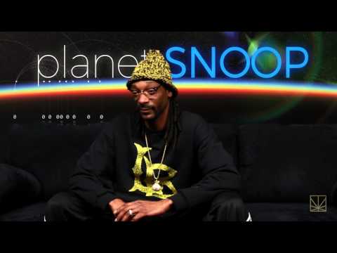 Squirrel vs. Snake | PLANET SNOOP