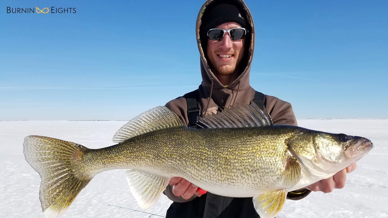 Ice Fishing South Dakota YouTube ice-fishing-south-dakota-youtube