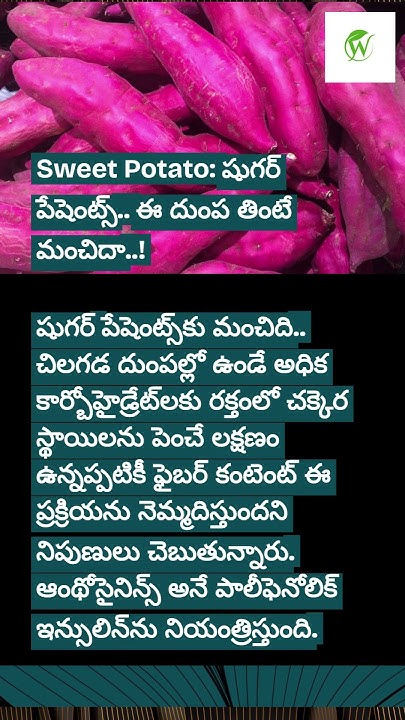 can-a-sugar-patient-eat-sweet-potato