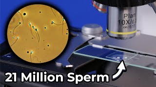 Can you Count Sperm Yourself at Home?